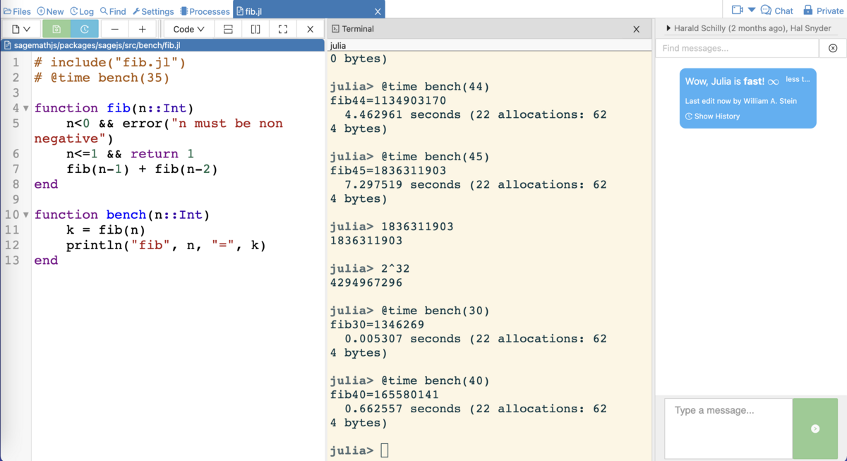 A screenshot involving Julia code, a terminal, and chat.