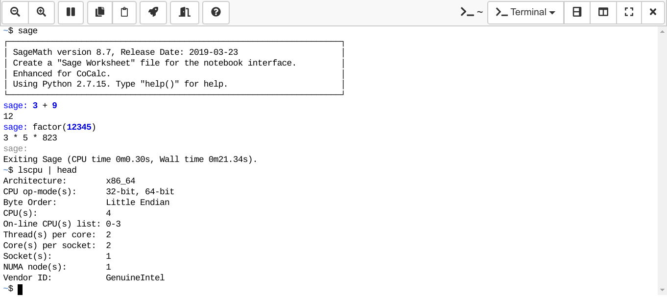 Screenshot illustrating Linux Terminal
